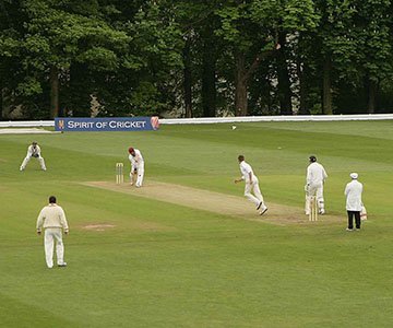 Weetwood Cricket