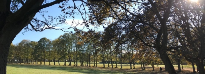 woodhouse moor free guides walking