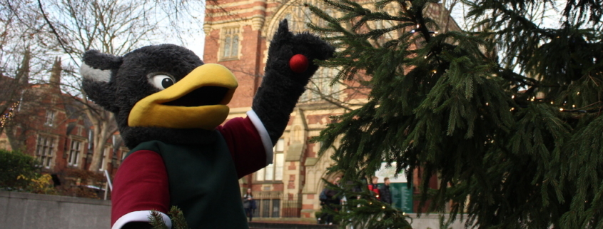 George the gryphon hanging a bauble on a christmas tree