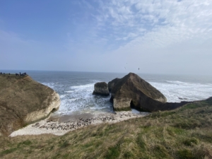 Photo of the cliffs and sea at Flamborough.